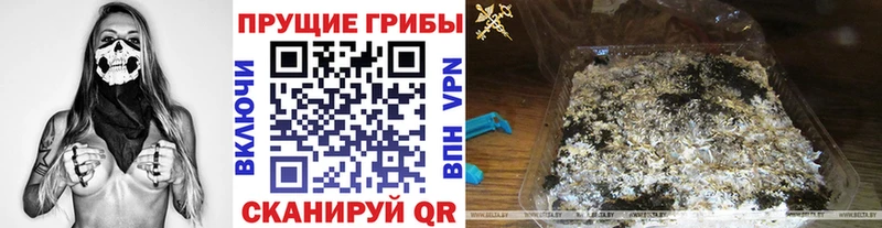 Галлюциногенные грибы GOLDEN TEACHER  Купить где  Барнаул 