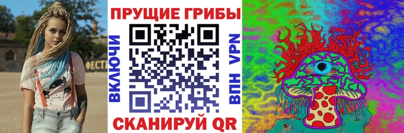 Псилоцибиновые грибы мицелий Барнаул